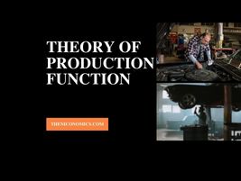 Theory of production function