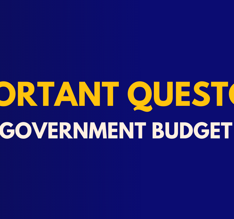 government budget